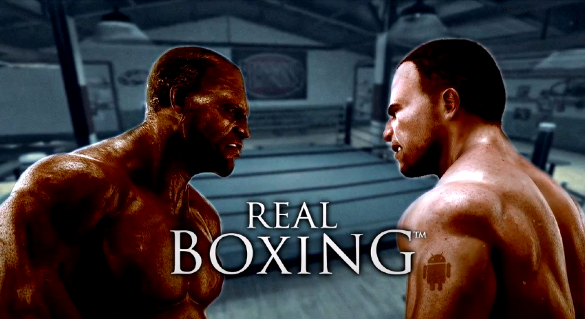 the real boxing
