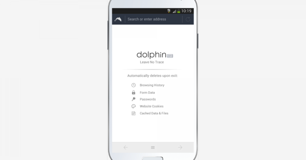 dolphin zero incognito browser apk