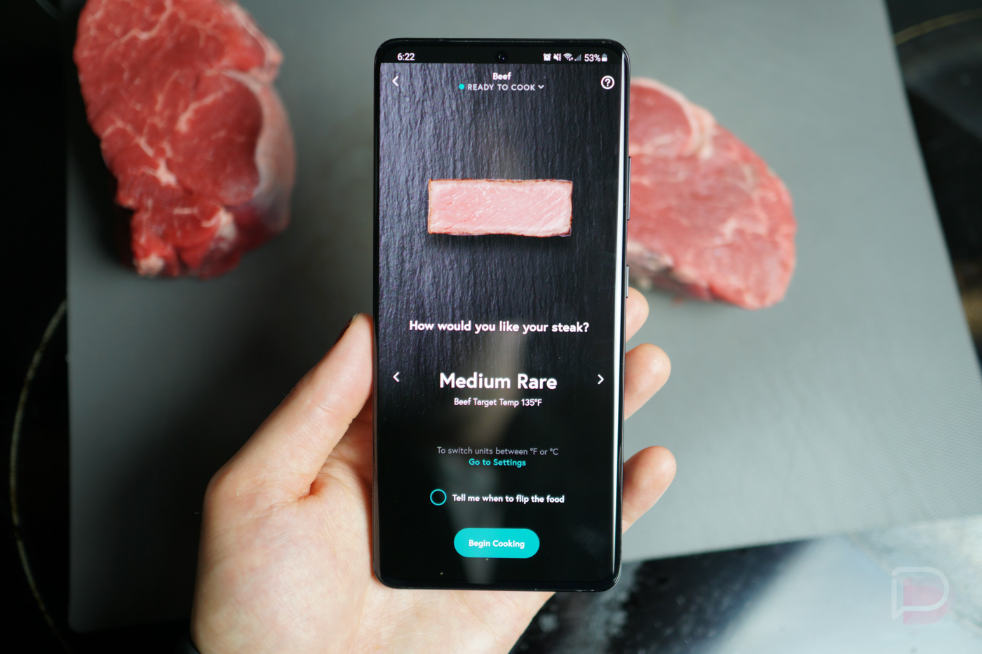 I cooked some meat with Yummly Smart Thermometer! 