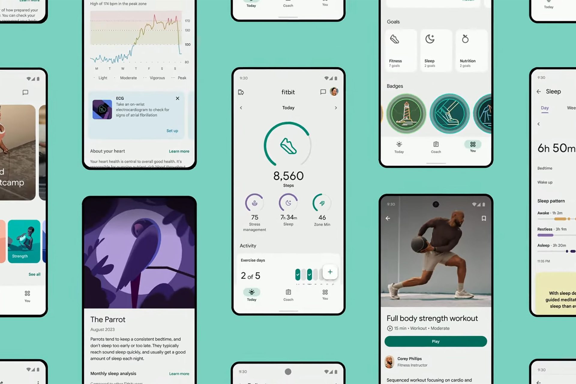 Fitbit's Fancy New App has Arrived