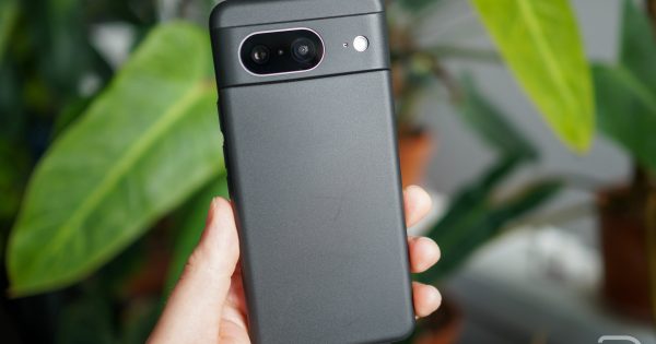 Our Favorite Minimal Cases Now Available for Pixel 8, Pixel 8 Pro