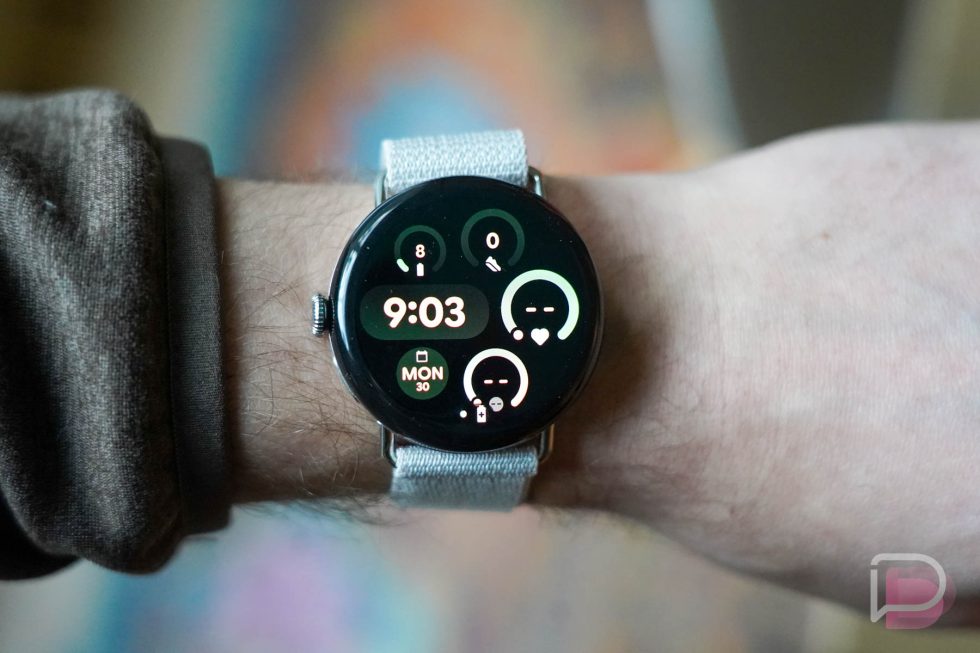 Pixel Watch 3 - Performance Loop Band