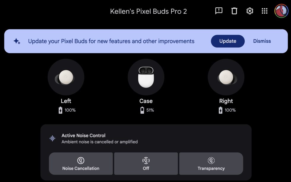 Pixel Buds Pro 2 Update